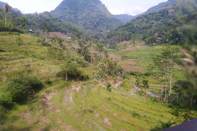 Exuberante vegetación de la zona