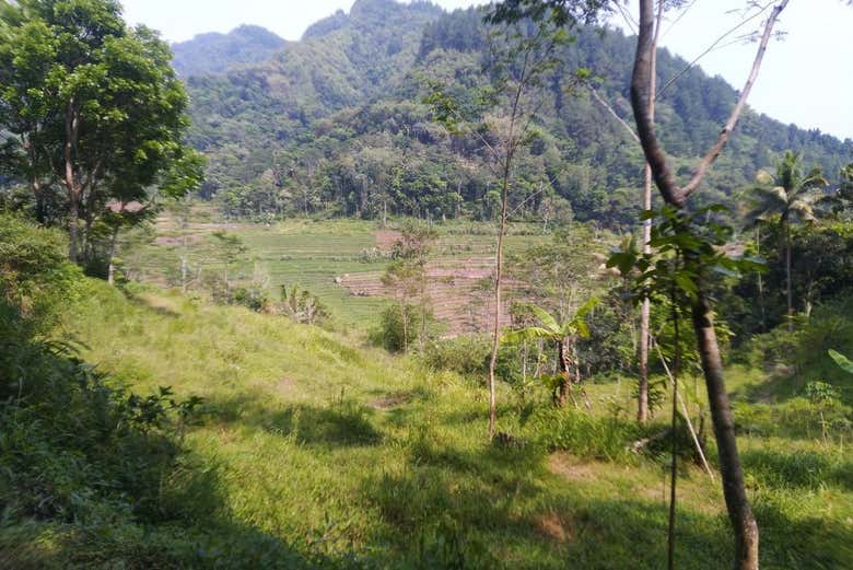 Alrededores del templo Selogriyo