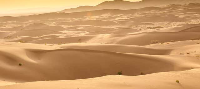 Excursión privada al desierto de Varzaneh