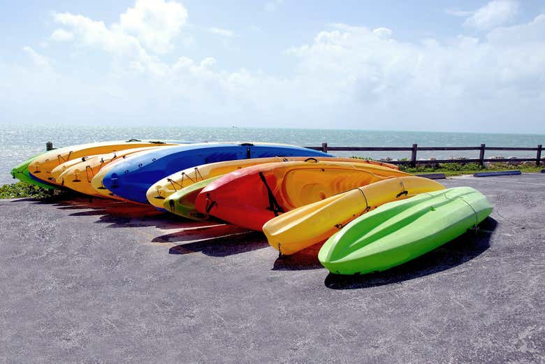 Our kayaks for the activity