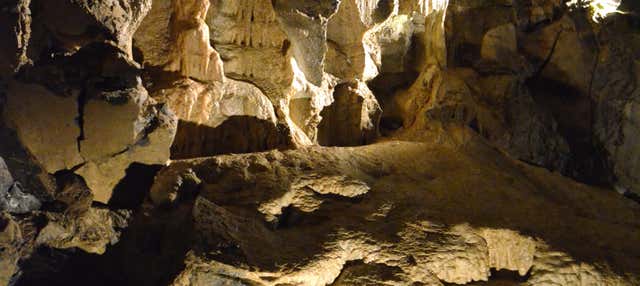 Visite de la grotte d'Aillwee + Centre des oiseaux de proie du Burren