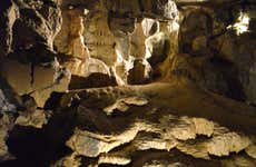 Visita a la cueva de Aillwee + Centro de Aves Rapaces del Burren