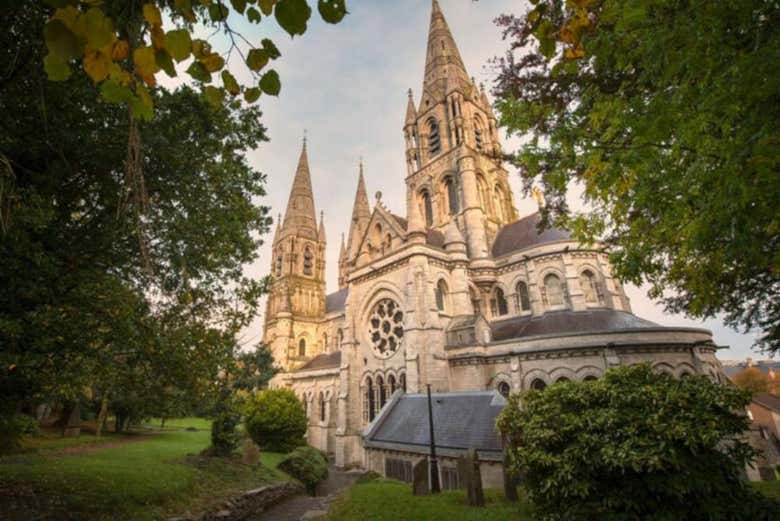 Cathédrale de Cork