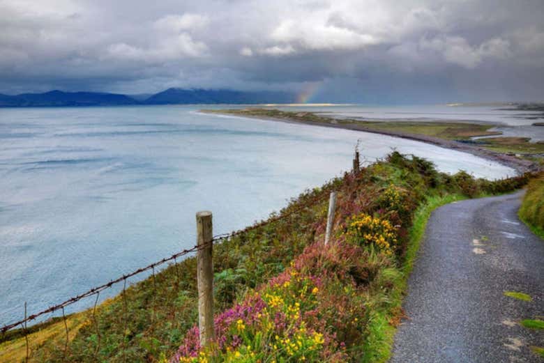 Vue impressionnante d'Irlande