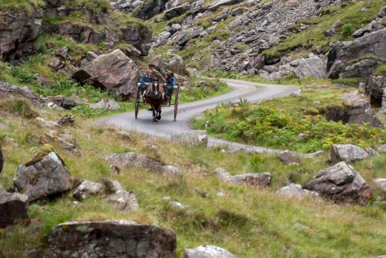 Baladez-vous aux alentours de Killarney