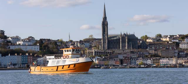 Paseo en barco por Cork