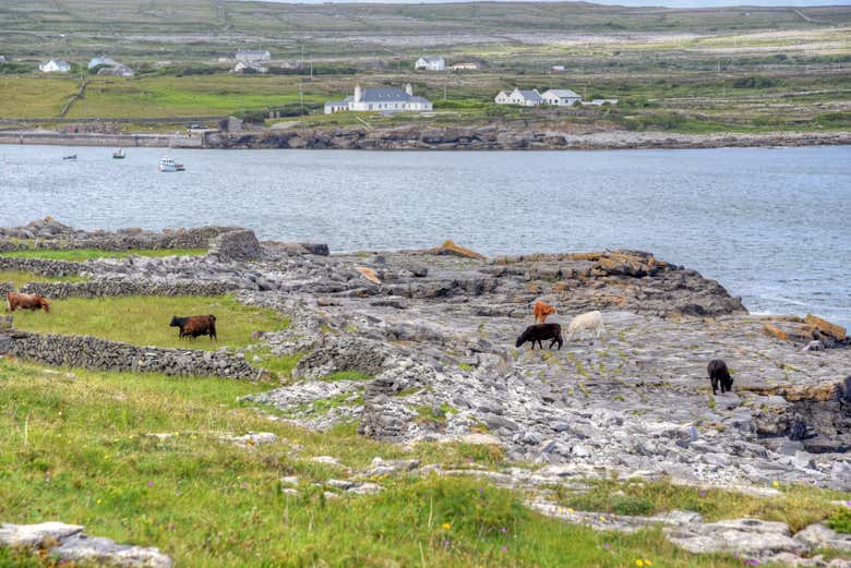 Paisajes de Inishmaan