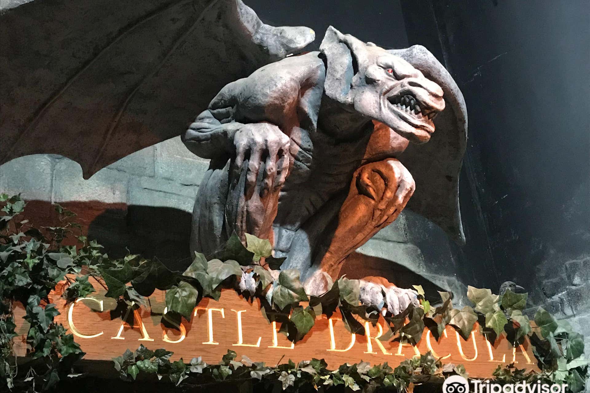Billet pour le Château de Dracula à Dublin Billet pour le Château de Dracula à Dublin