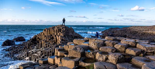 Excursion à la Chaussée des Géants, au château de Dunluce et à Belfast