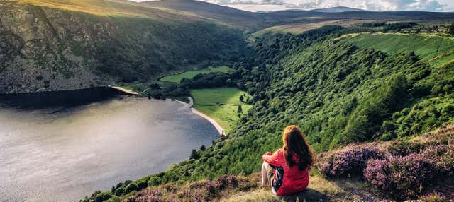 Excursion d'une journée à Glendalough, Kilkenny et Wicklow