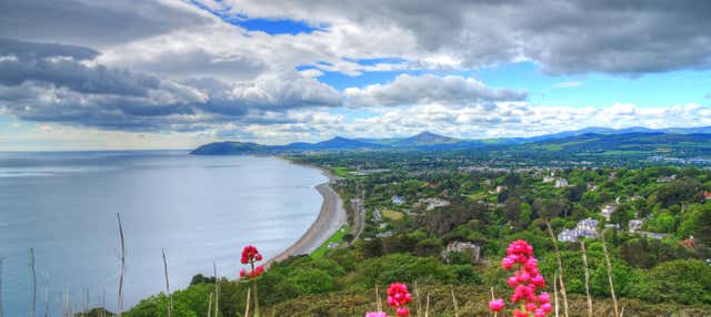 Free tour por la bahía de Dublín