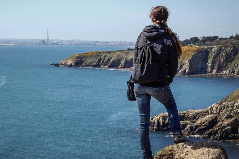Scogliere di Howth
