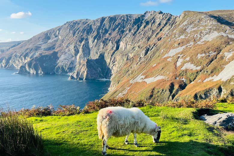 Los increíbles acantilados de Slieve League