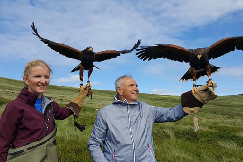 Attend a fun birds of prey experience in winter