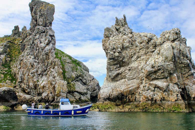 Navegando pelas falésias de Howth