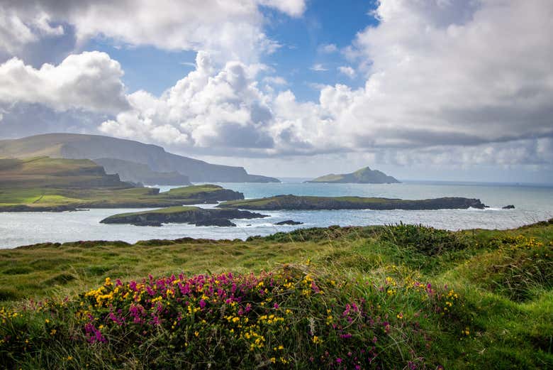 Viajaremos por el Anillo de Kerry