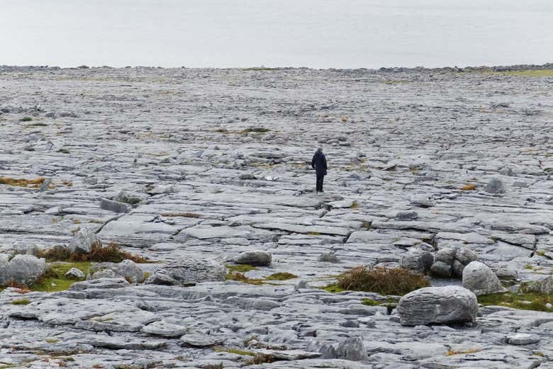 The Burren