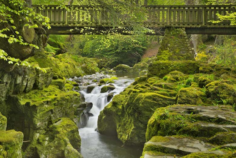 Parque Forestal de Tollymore