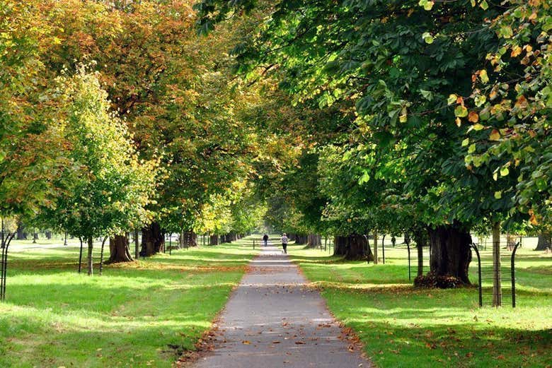 Phoenix Park