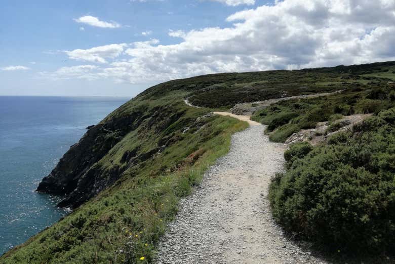 I sentieri di lungo le scogliere di Howth