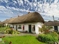Adare