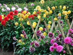 Jardin Botanique National