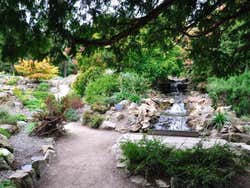 Jardin Botanique de Dublin