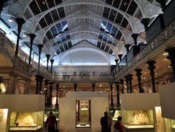 National Museum of Ireland - Archaeology