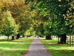 Phoenix Park