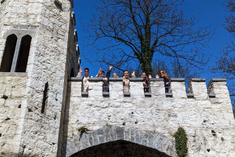 Tour por la isla Bull, Dublín