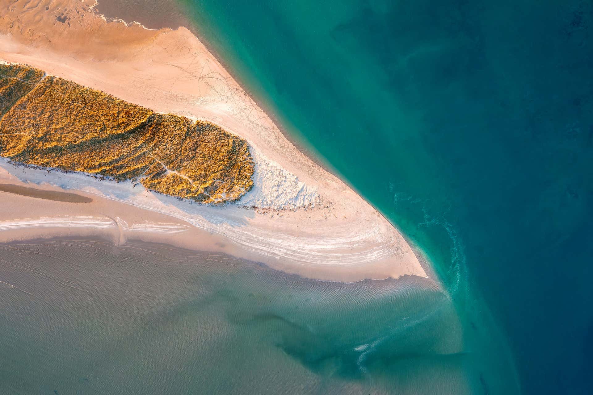 Tour pela Bull Island