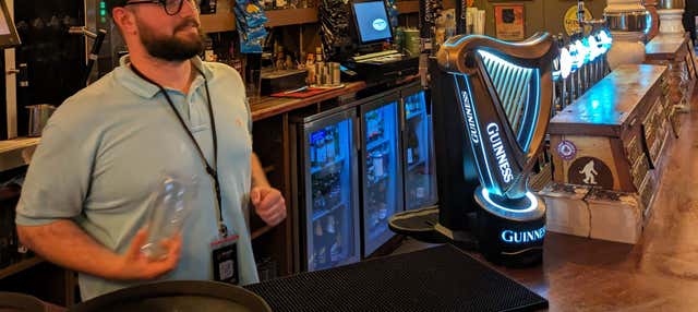 Tour pelos pubs de Dublin + Aula de servir cerveja