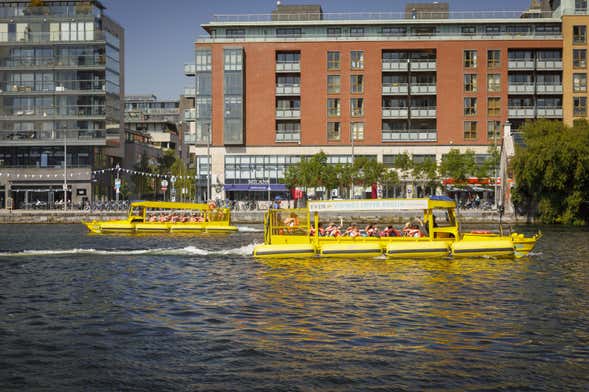 Dublin Viking Tour