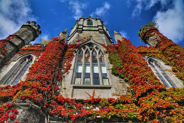 Detalhes da bela Universidade de Galway