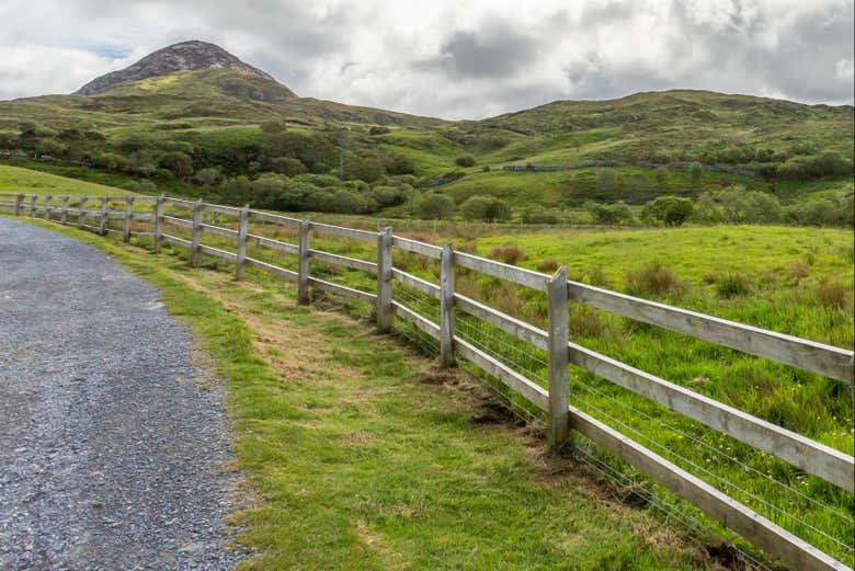 Lush green scenery in Connemara