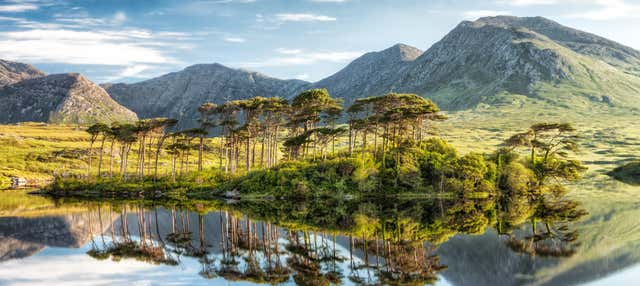 Tour por la Ruta del Atlántico Salvaje y Connemara