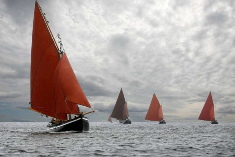 Traditional sailboats known as Galway Hookers
