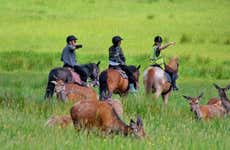 Paseo a caballo por Killarney