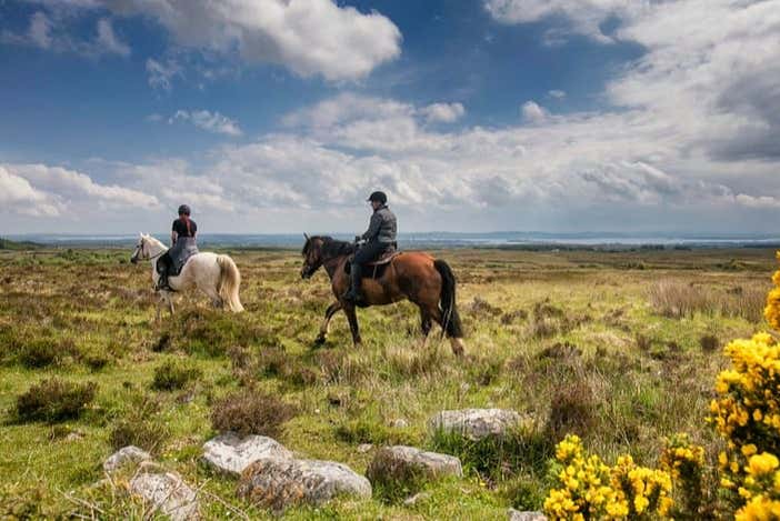 Grean meadows in Western Ireland