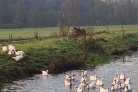 Strolling along the River Blackwater