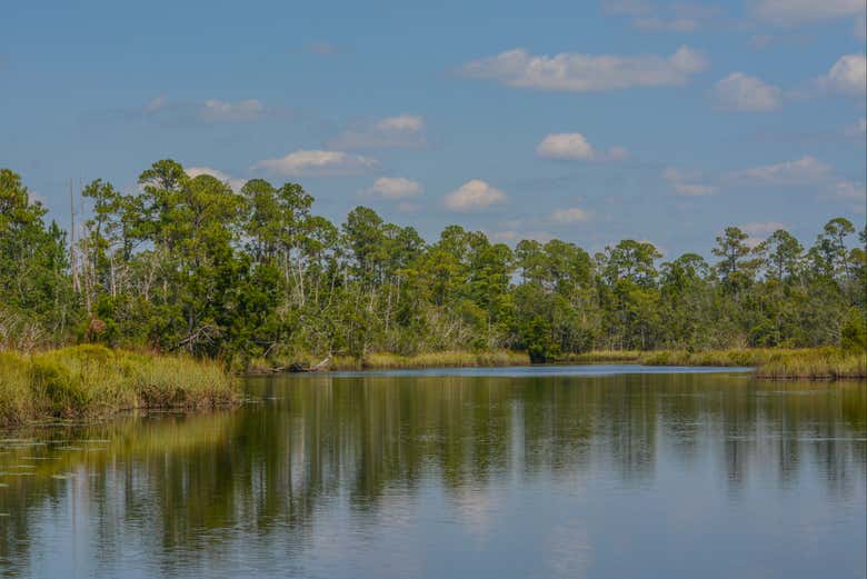 Views of the River Blackwater