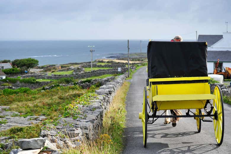 Carriage ride on Inishmore