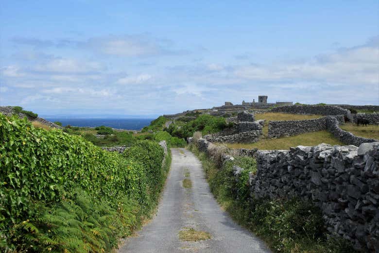 Landscapes of Inishmore