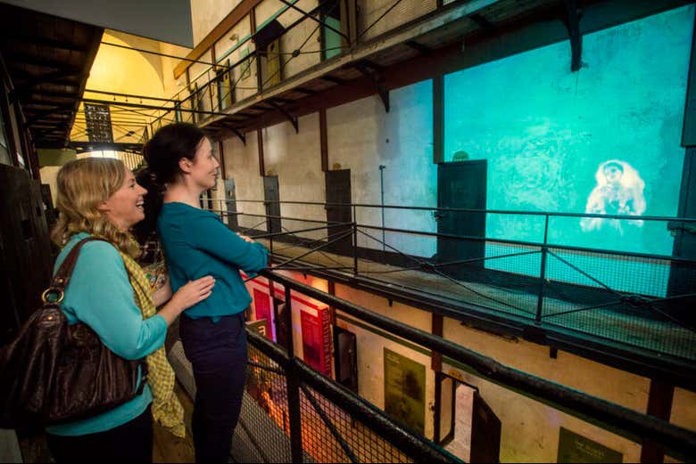 Dive into fascinating tales from the past