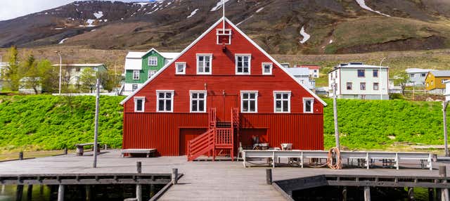 Excursión a la costa ártica y península de Tröllaskagi