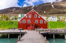 Day Trip to the Arctic Coast
