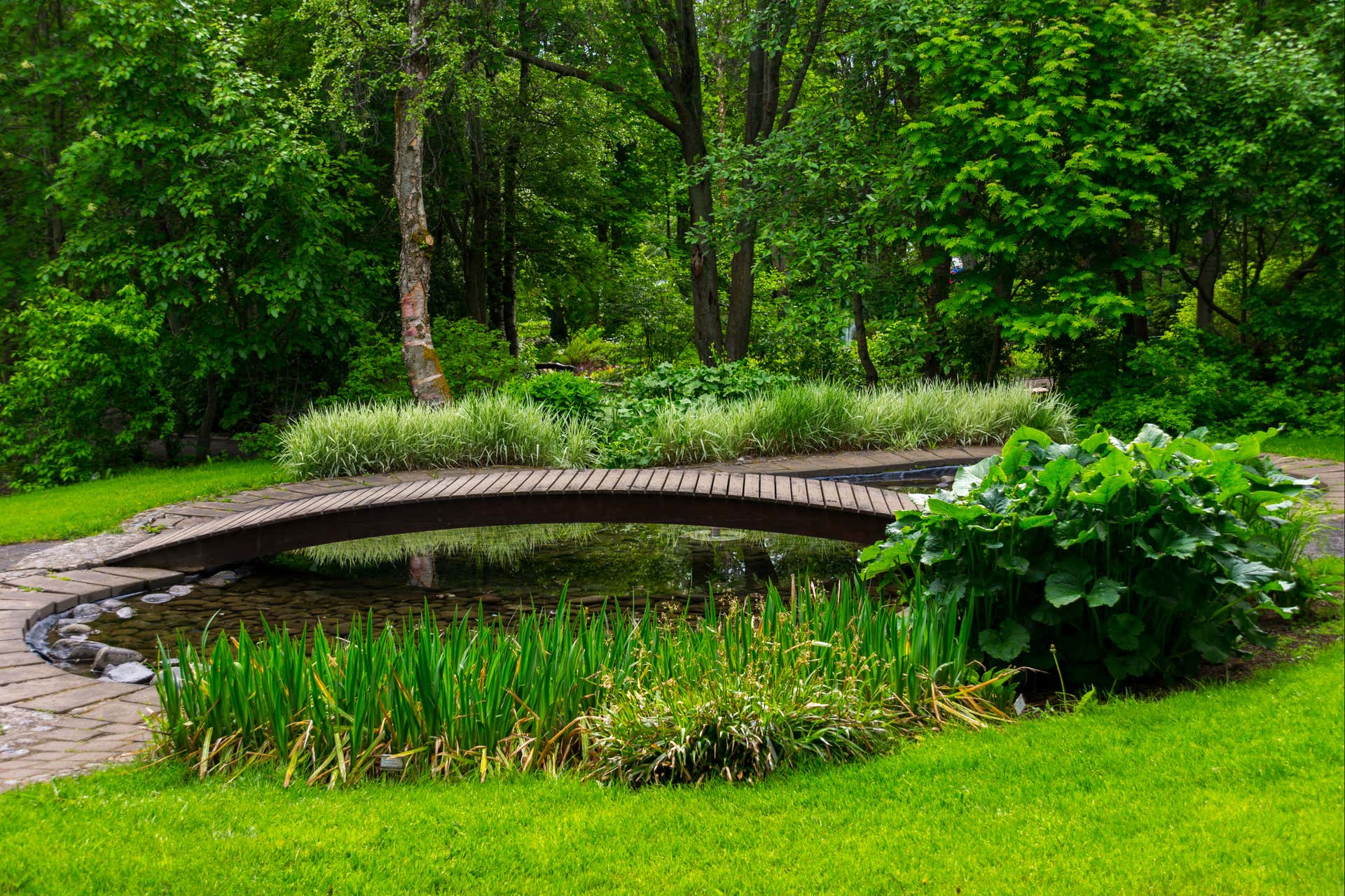 Godafoss Waterfall & Akureyri Botanical Gardens Tour