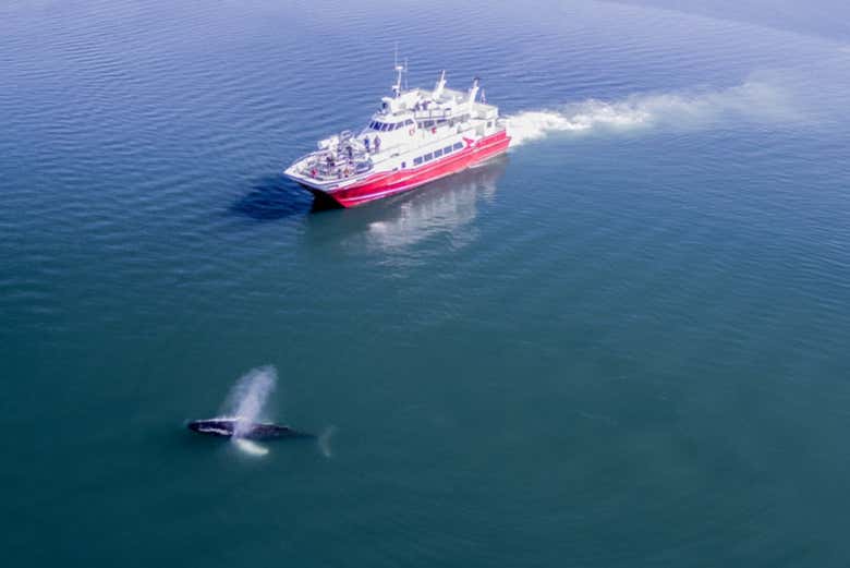 Le bateau