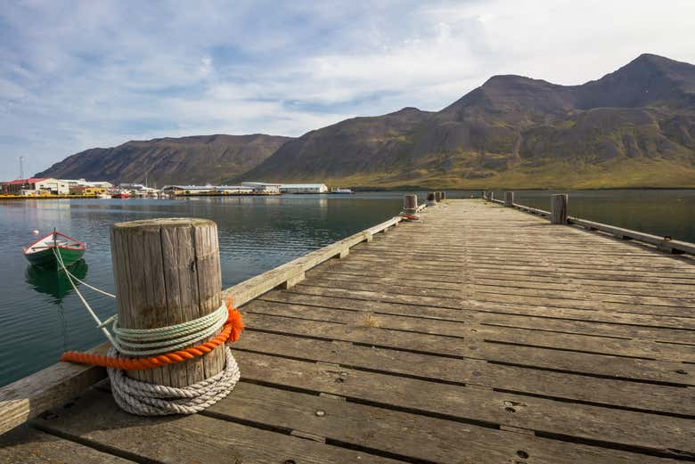 Atop the docks of the Tröllaskagi peninsula