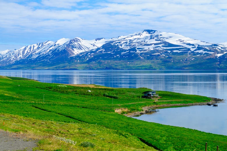 Fjord Eyjafjördur